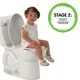 3-in-1 Potty System