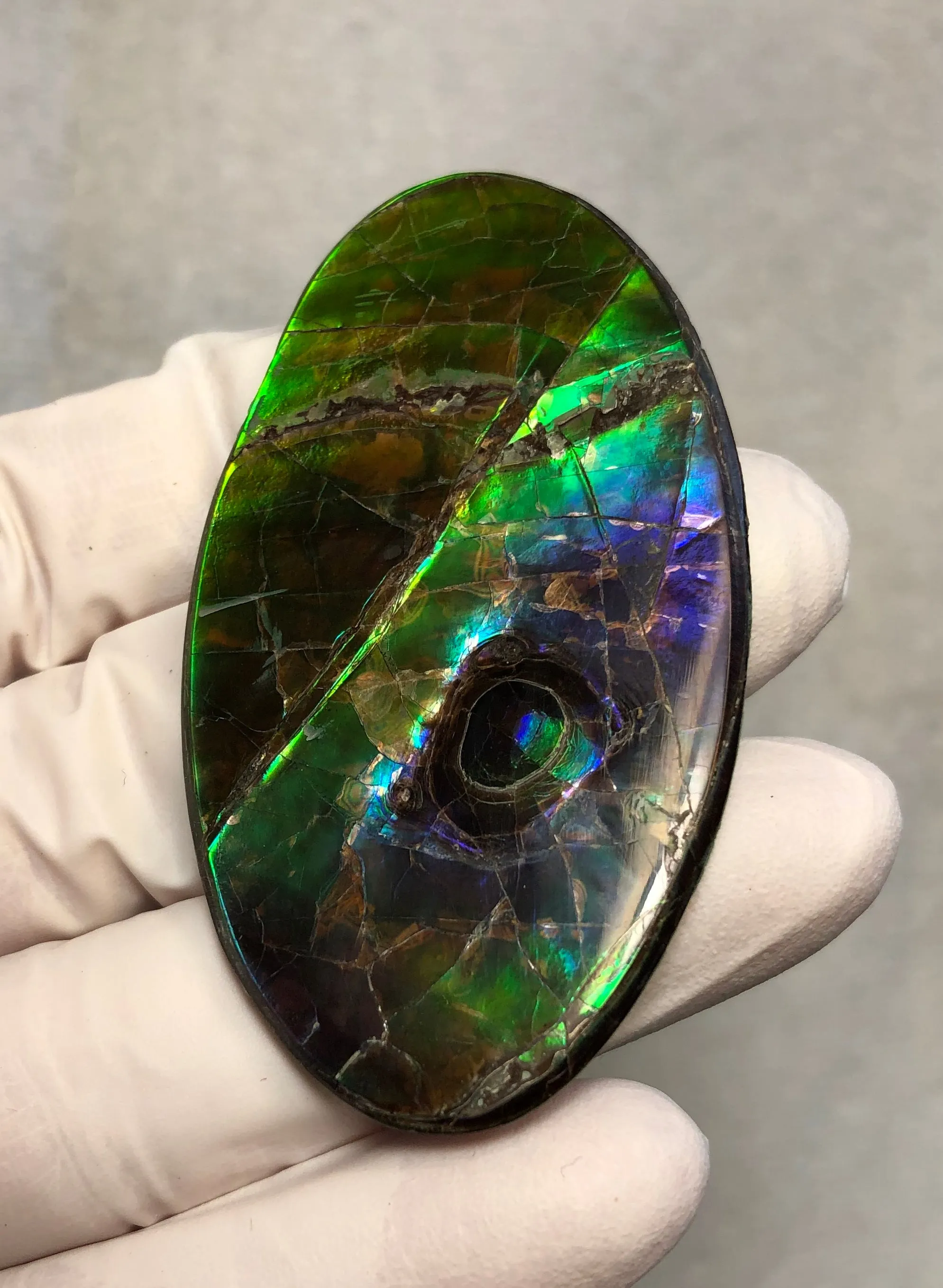 Auction CLOSED! Free shipping  🌈Auction!! **Please read the description**  Natural hand polished, Free Form . FFNT167 Ammolite High Grade.