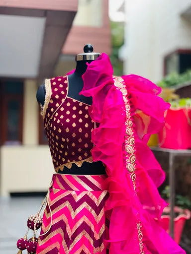Banarasi Pink Wine Lehenga