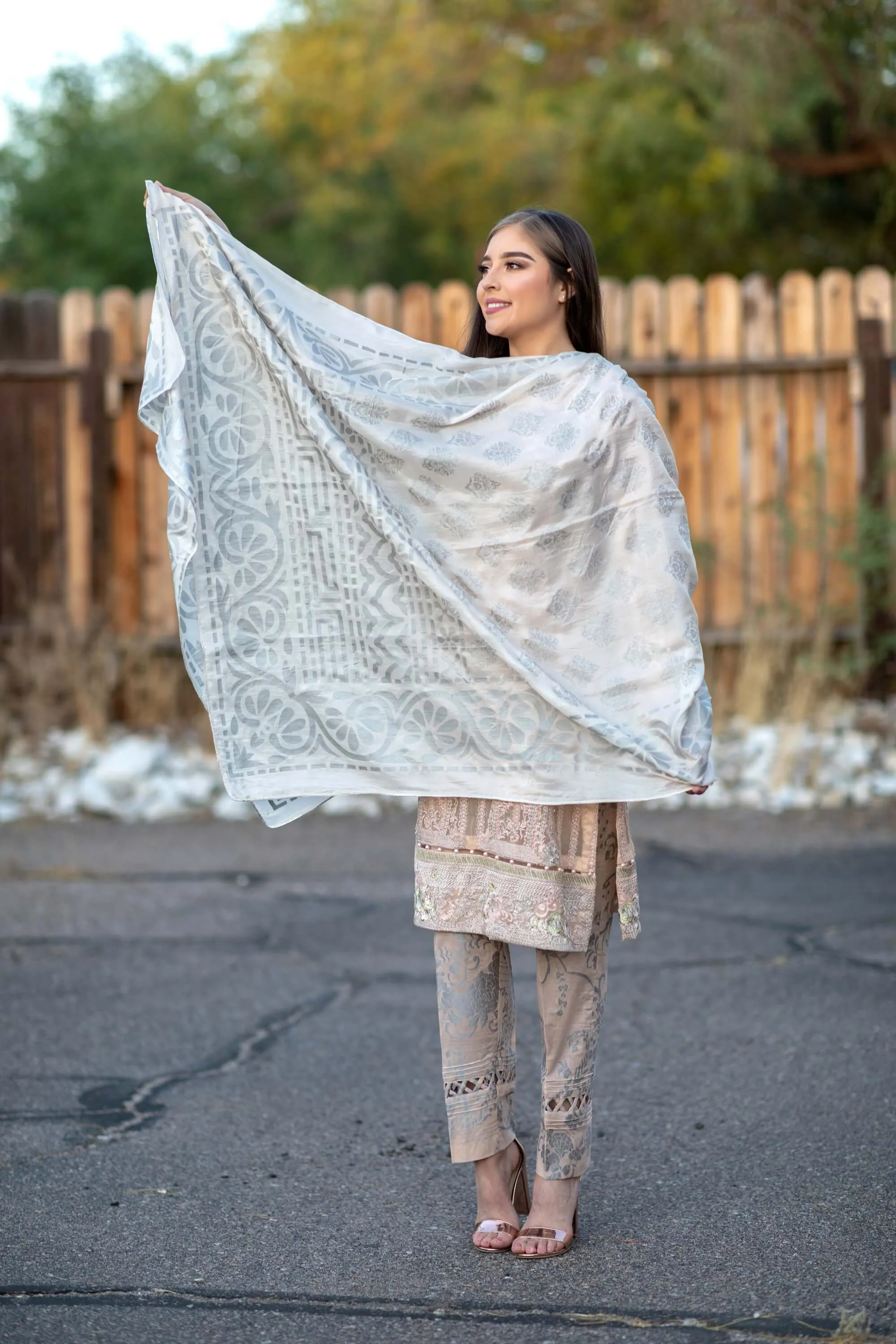 Beige Chiffon Salwar Kameez Suit
