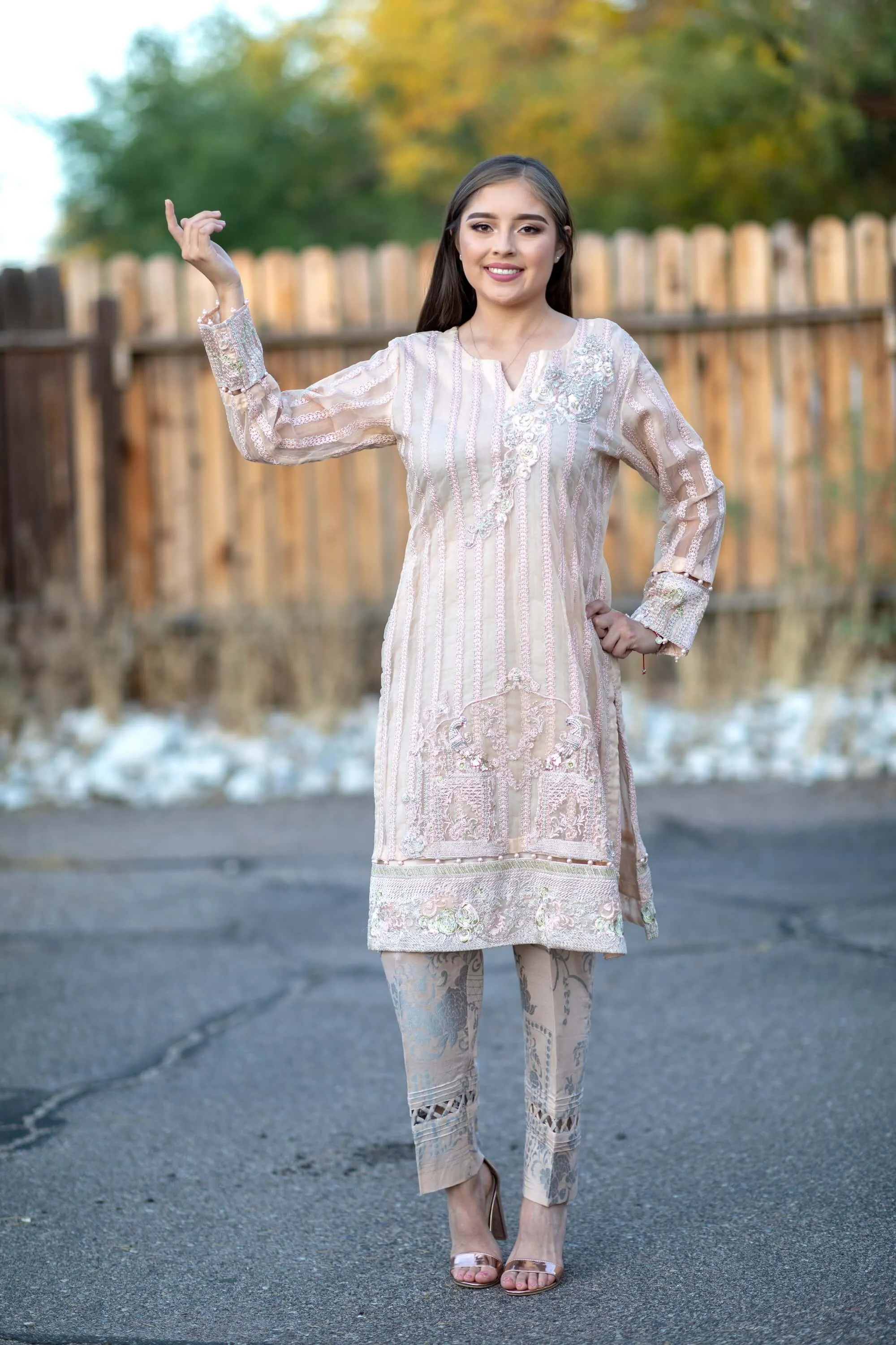 Beige Chiffon Salwar Kameez Suit