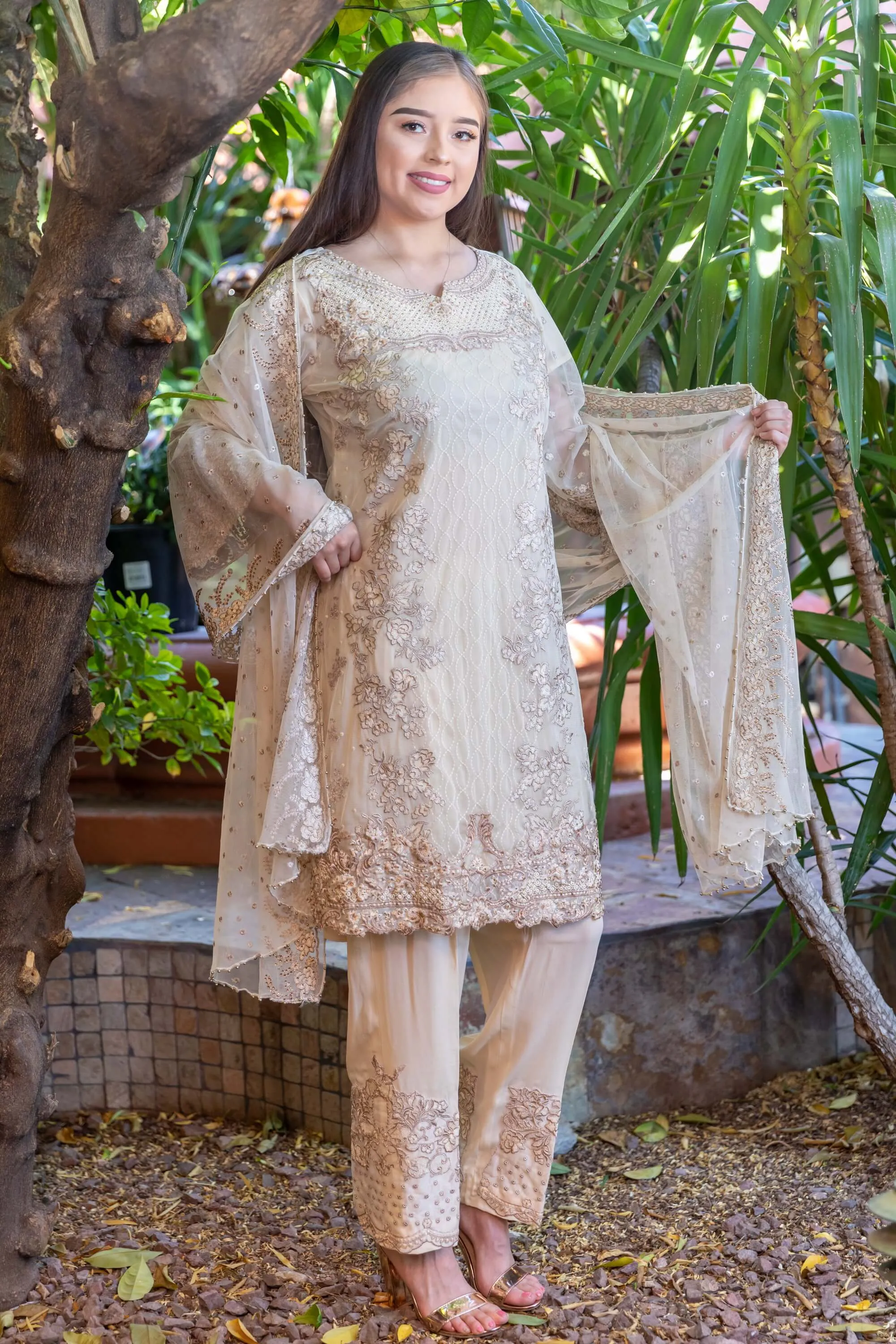 Beige Salwar-Kameez Chiffon Silk Suit