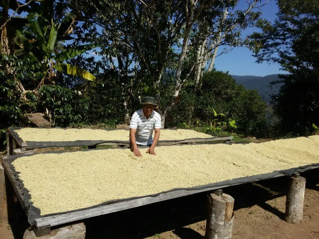 Bolivia Microlot: Bernardino Aliaga -Taipiplaya. Available in NJ & in Salisbury, MA. NEW ARRIVAL!