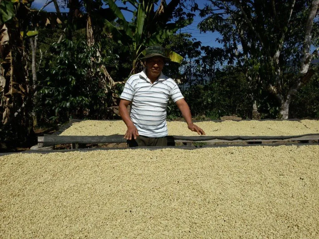 Bolivia Microlot: Bernardino Aliaga -Taipiplaya. Available in NJ & in Salisbury, MA. NEW ARRIVAL!