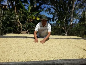 Bolivia Microlot: Bernardino Aliaga -Taipiplaya. Available in NJ & in Salisbury, MA. NEW ARRIVAL!