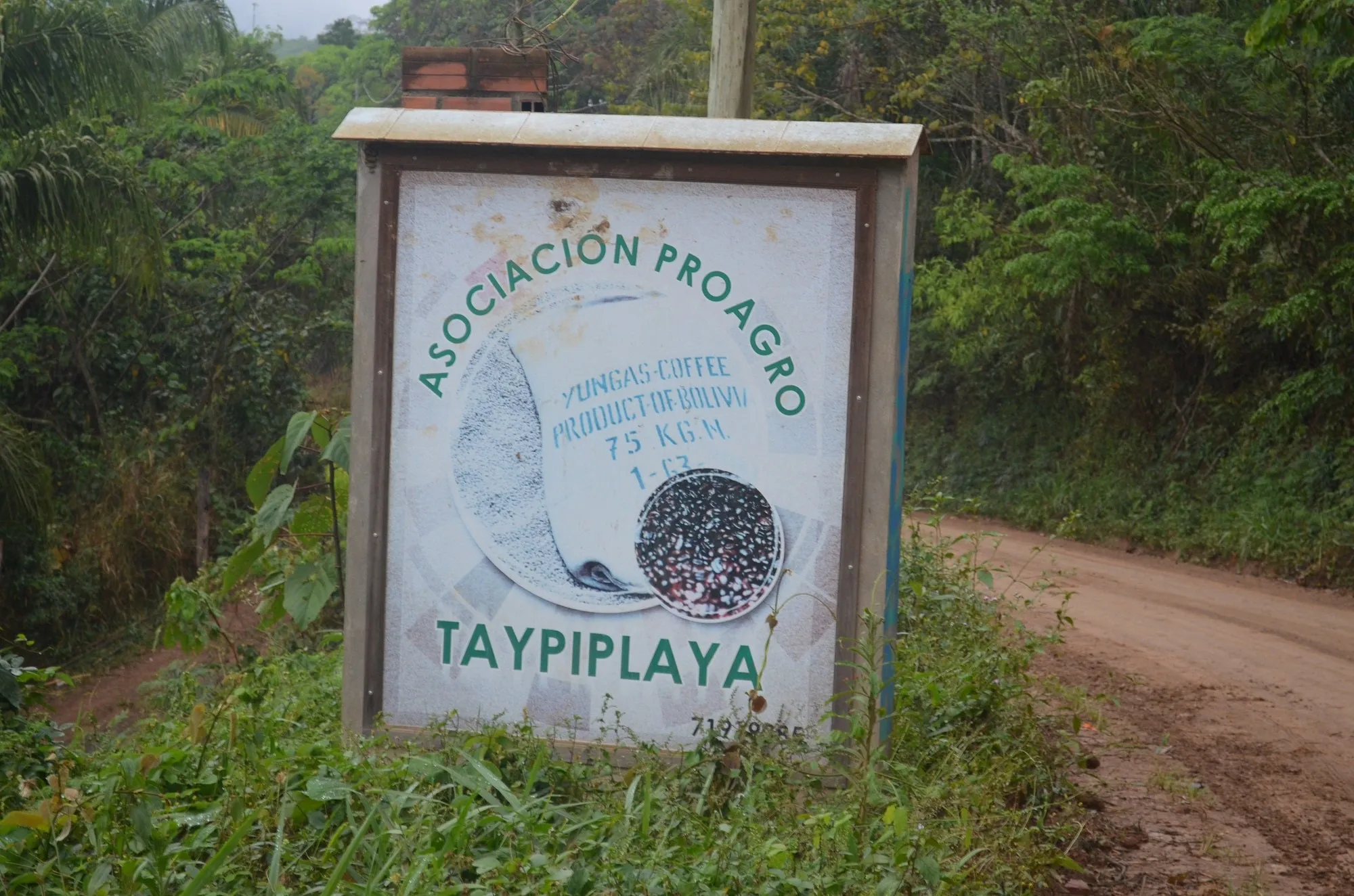 Bolivia Microlot: Bernardino Aliaga -Taipiplaya. Available in NJ & in Salisbury, MA. NEW ARRIVAL!