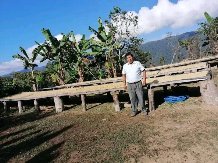 Bolivia Microlot: Bernardino Aliaga -Taipiplaya. Available in NJ & in Salisbury, MA. NEW ARRIVAL!