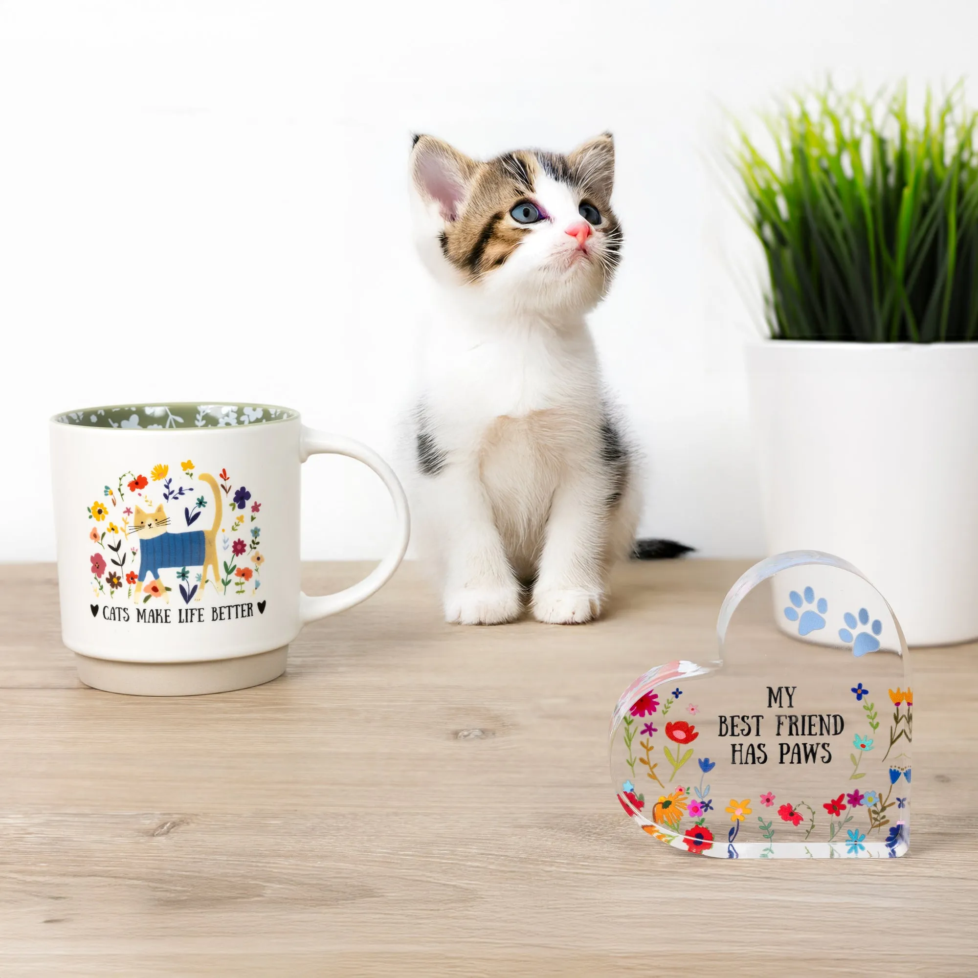 Cats 18 oz Mug