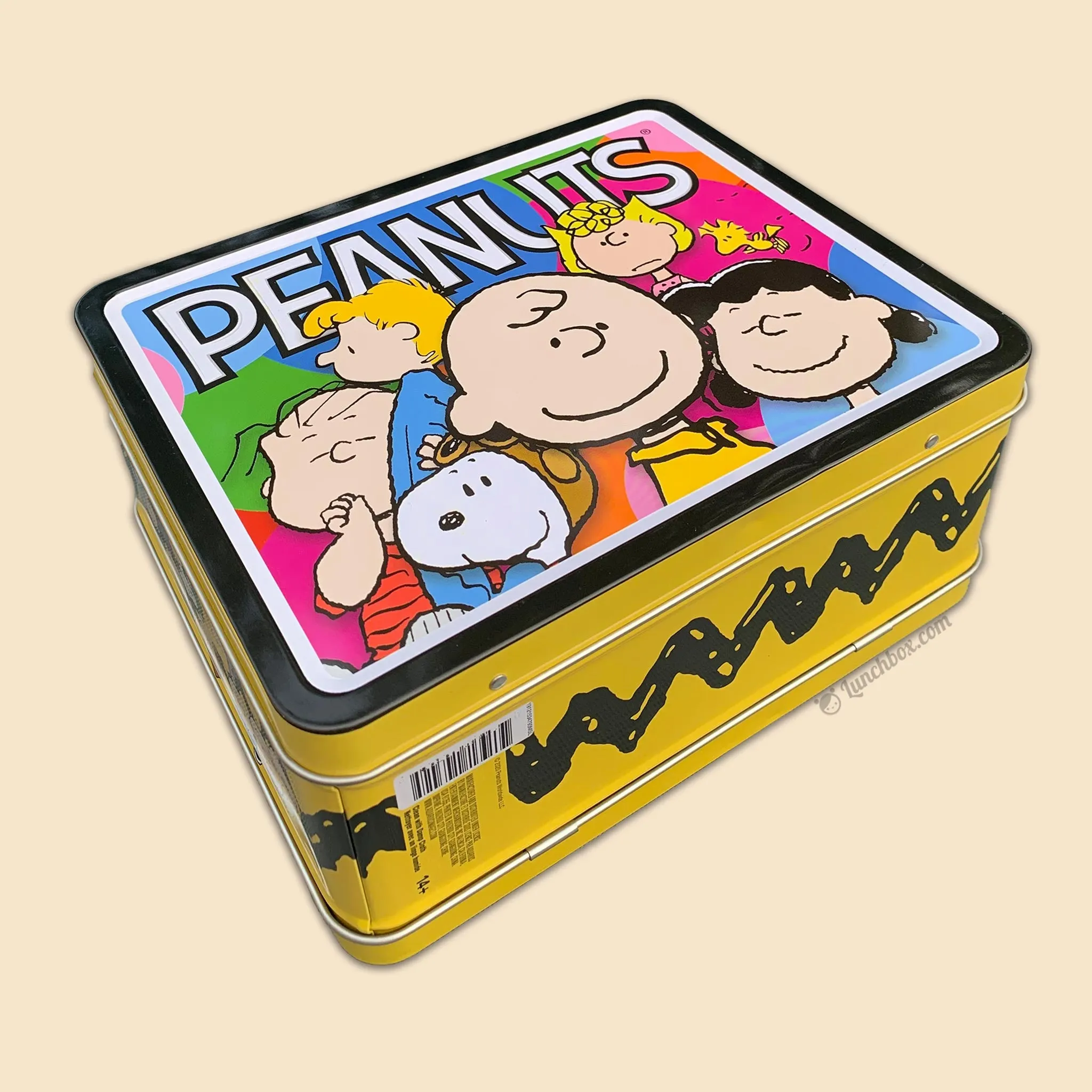 Charlie Brown Lunch Box