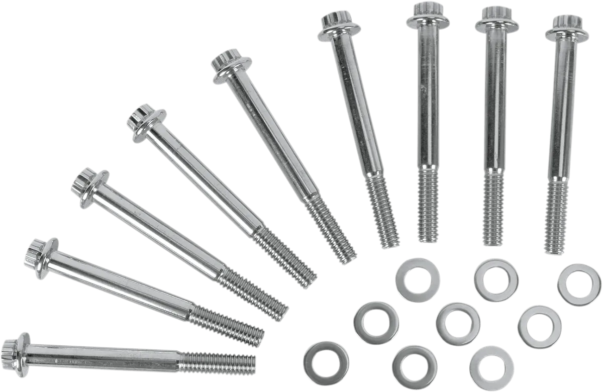 Diamond Engineering PB516S Crankcase 12-Point Polished Stainless Engine Bolt Kit