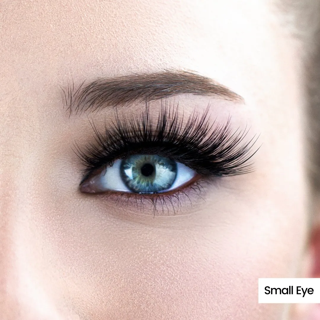 Lucy Magnetic Lash