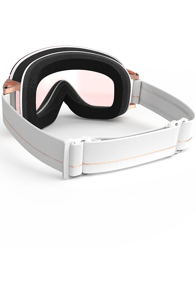 Model Four Ski Goggles