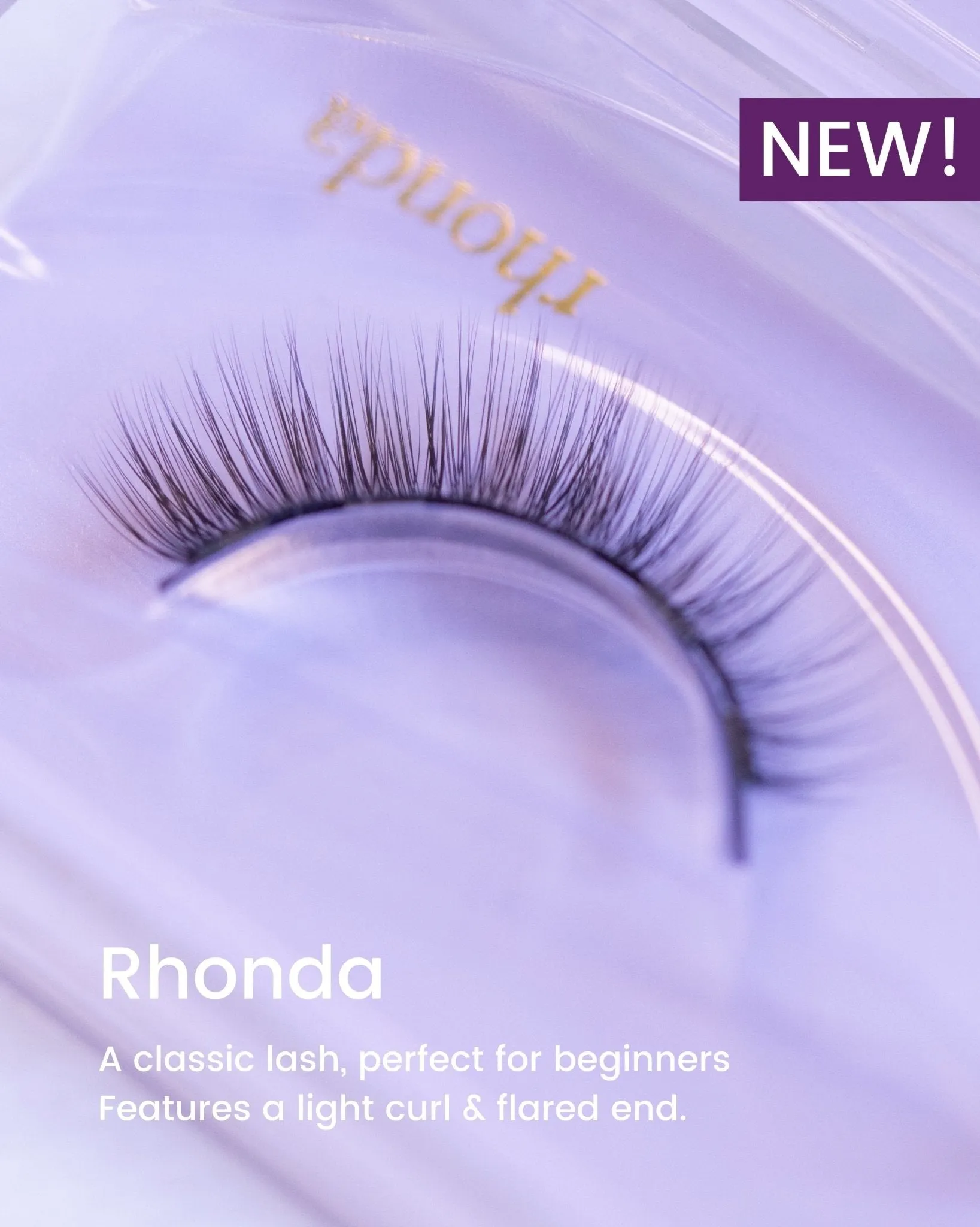 Newbie Bundle