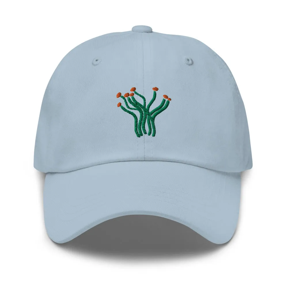 Ocotillo cap